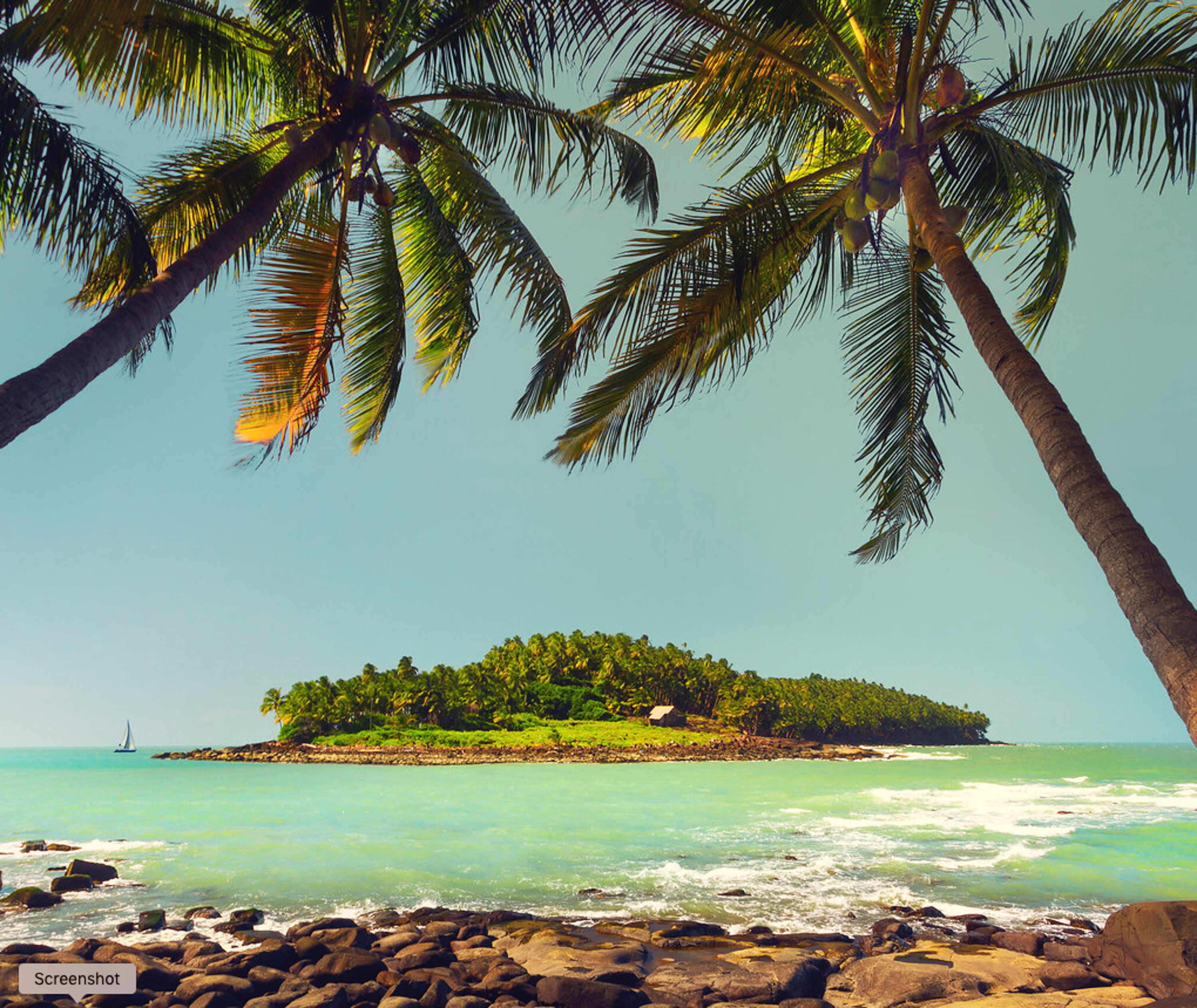 Devil's Island through the palms