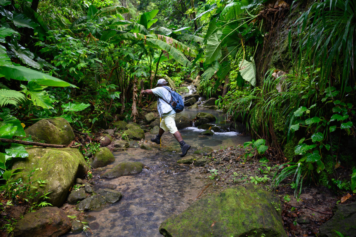 Scriber Adventure Tours Montserrat