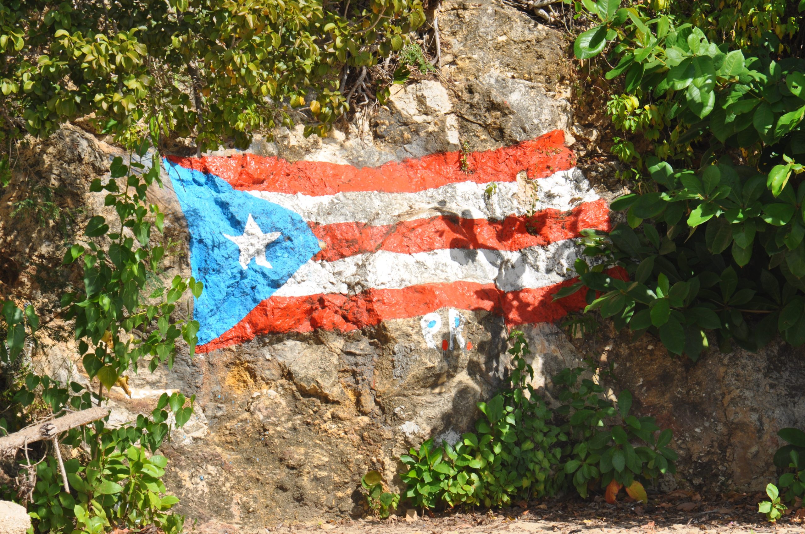 Puerto Rico Flag