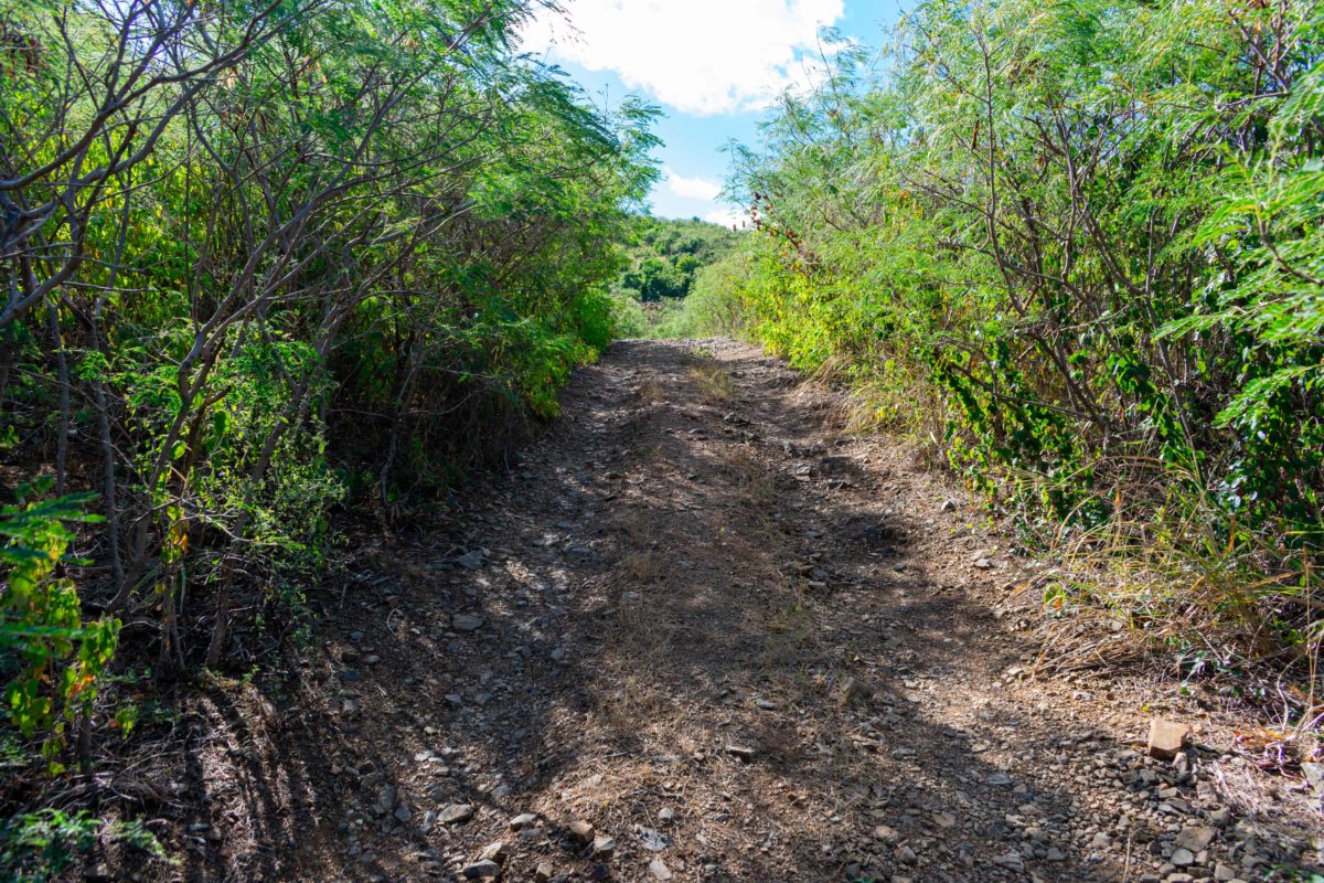 Beginning of the Goat Hill Trail