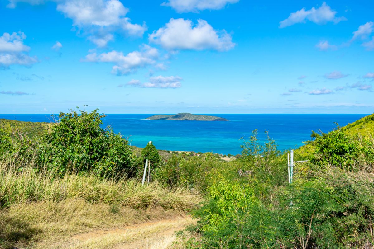 Buck Island view from Goat Hill Trail