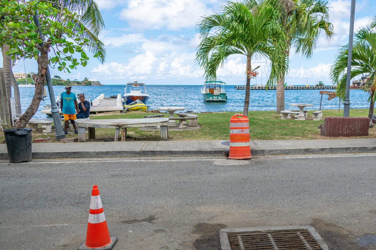 Seaside lime in Gallows Bay