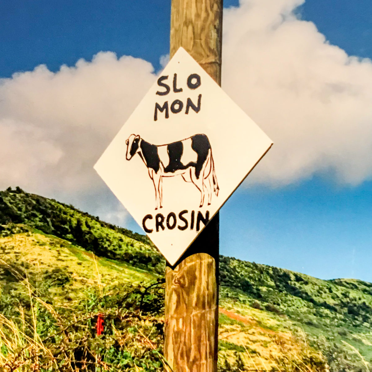 St. Croix Cattle Crossing Sign