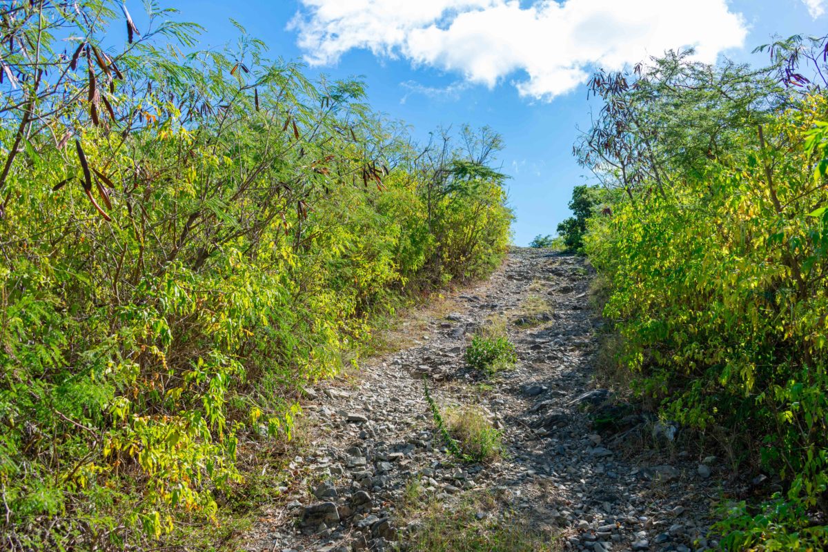 Steepest section of the Goat Hill Trail