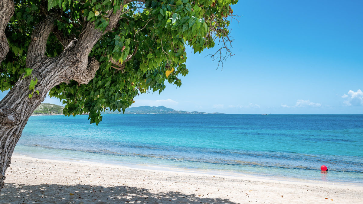 St. Croix Beach Zoom Virtual Background