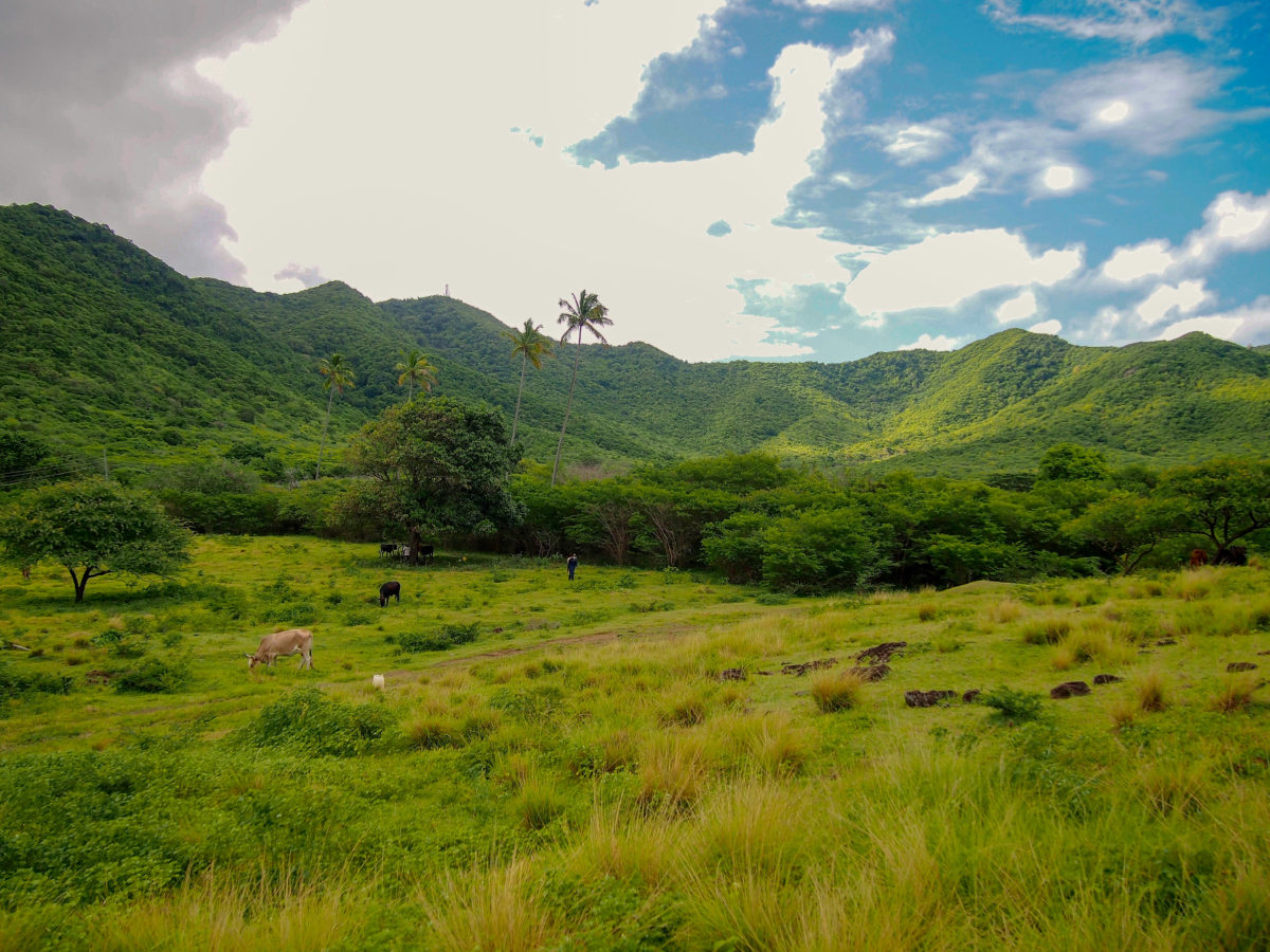 Antigua hiking to Bolans