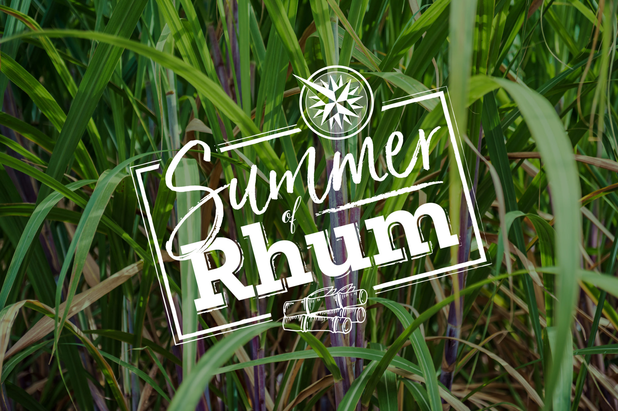 Summer of RHUM