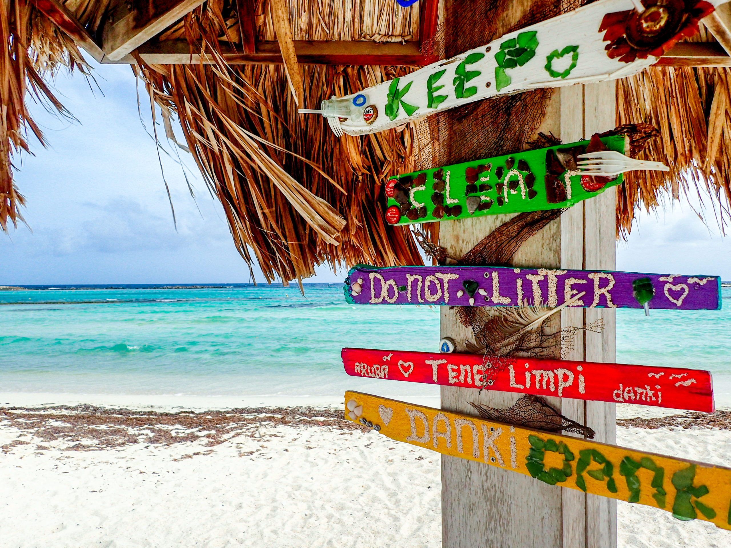 Aruba Reef and Beach Clean Up