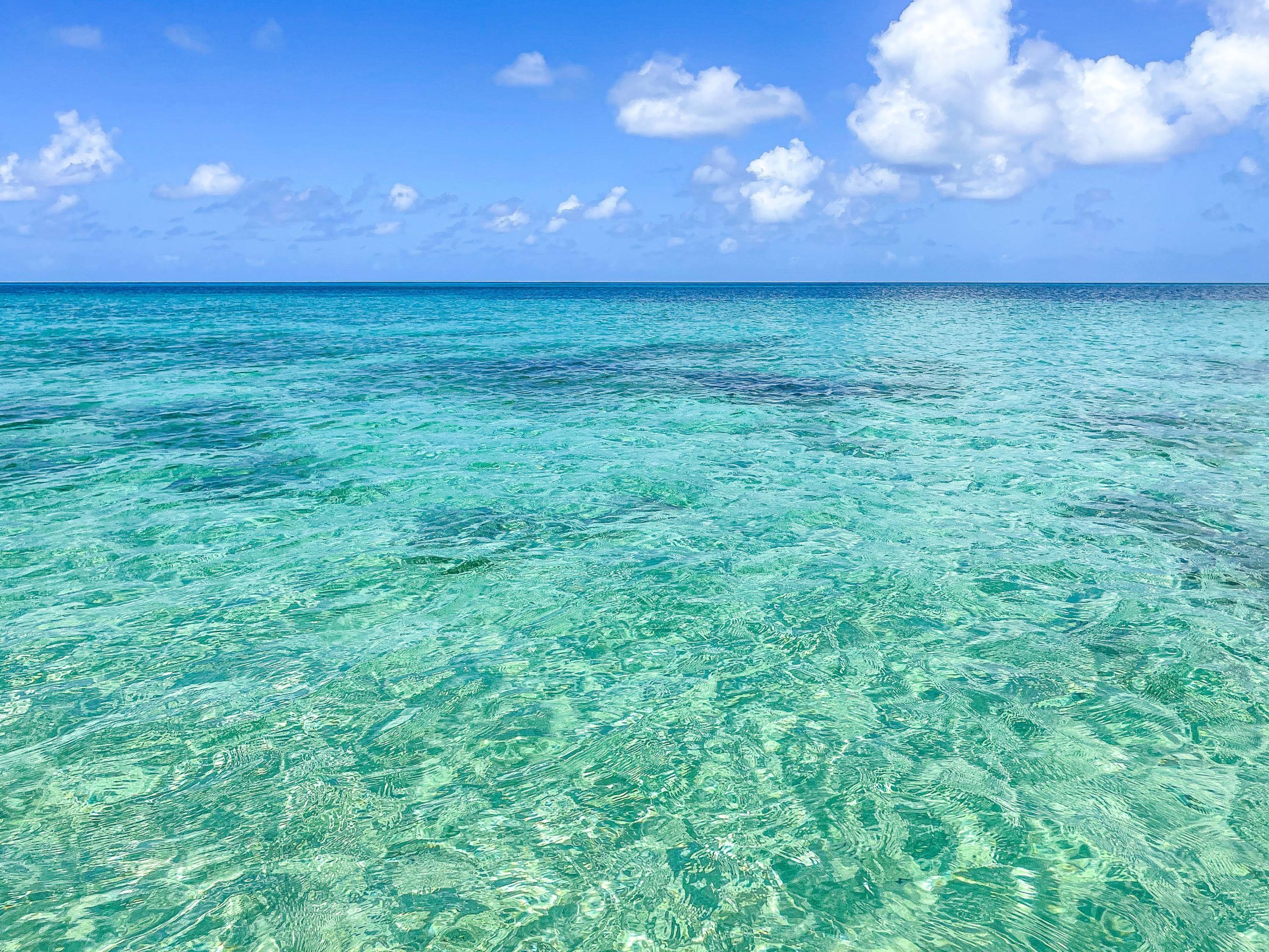 Dorsch Beach clarity