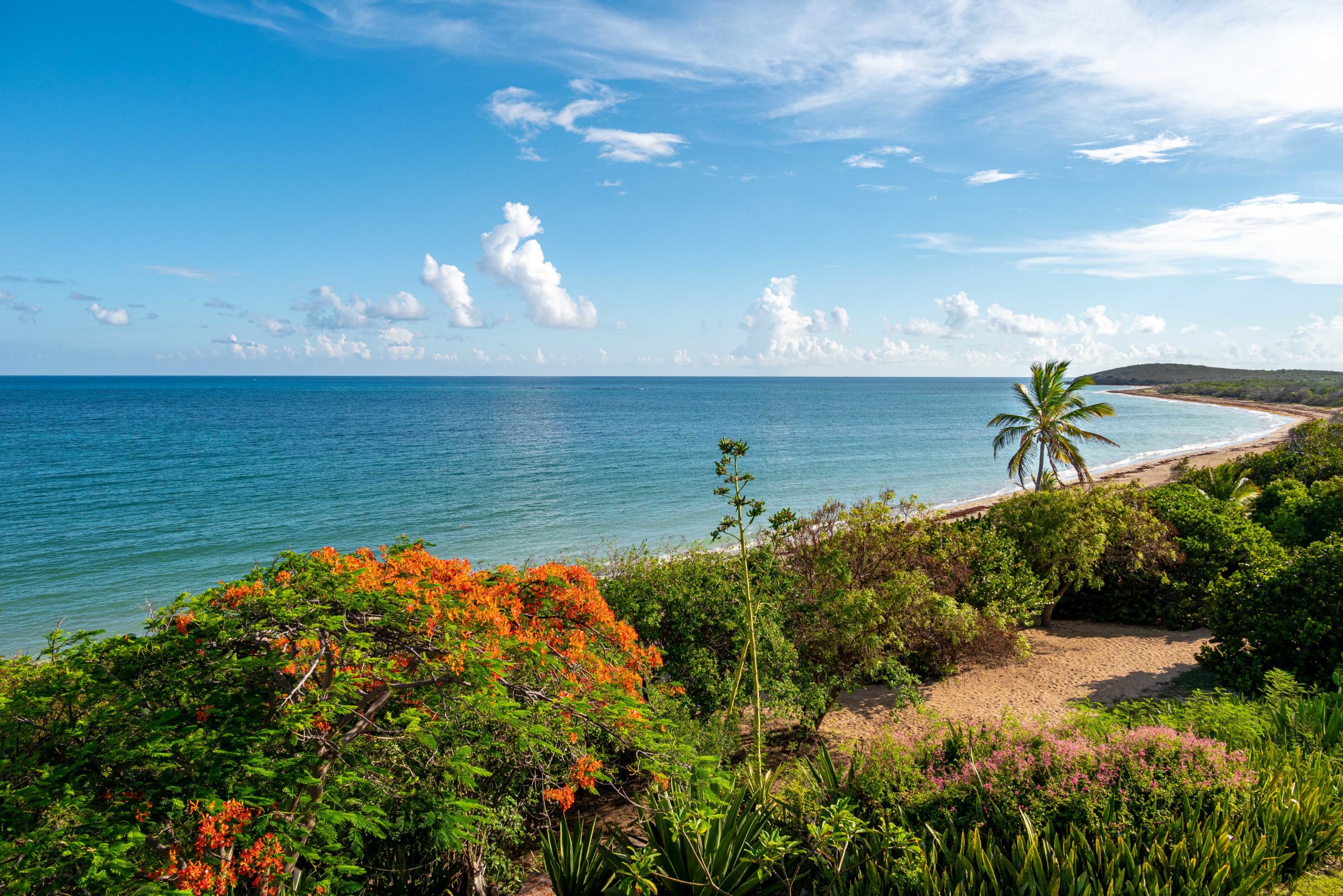 Bougainvillea Studio at Hummingbird Beach Hideaway, St. Croix: View With a Room