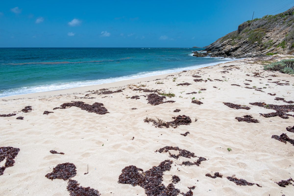 Looking West from Grapetree Beach, St. Croix