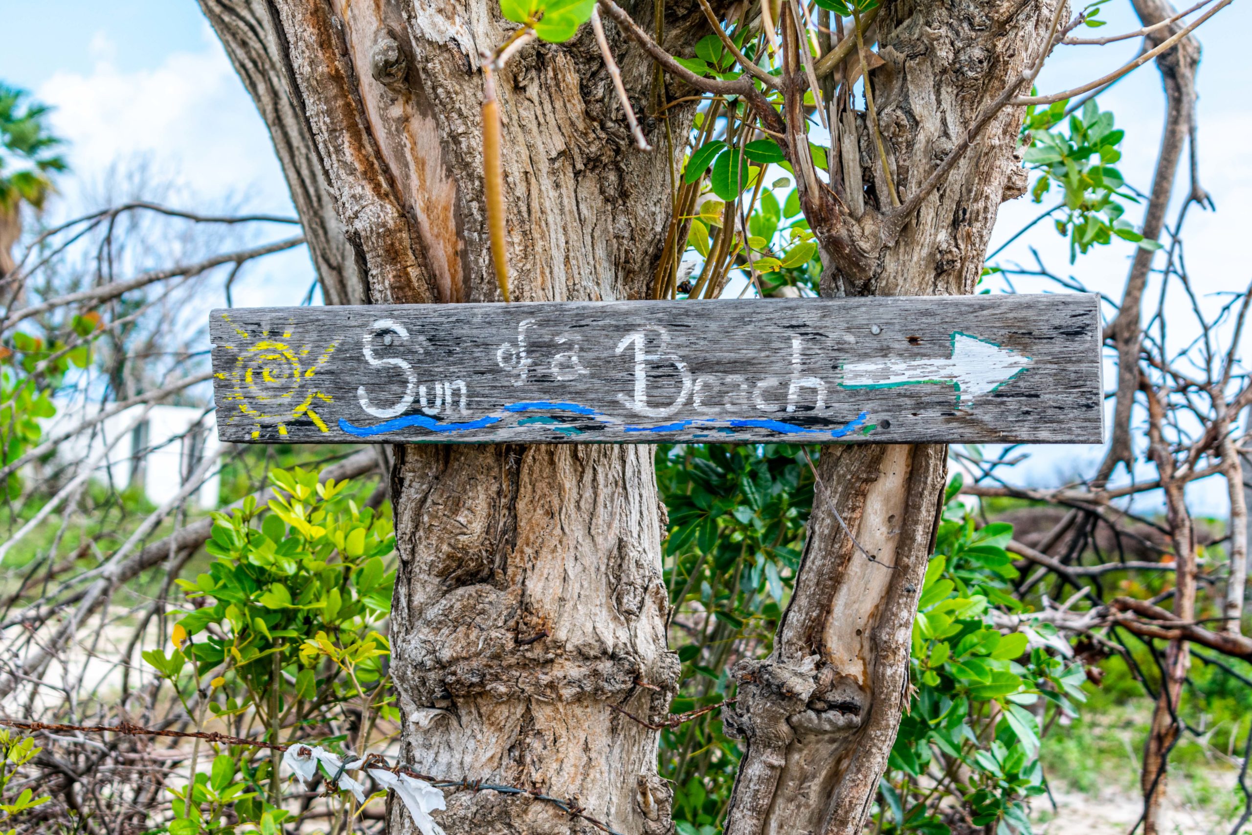 Sun Of A Beach sign, Barbuda