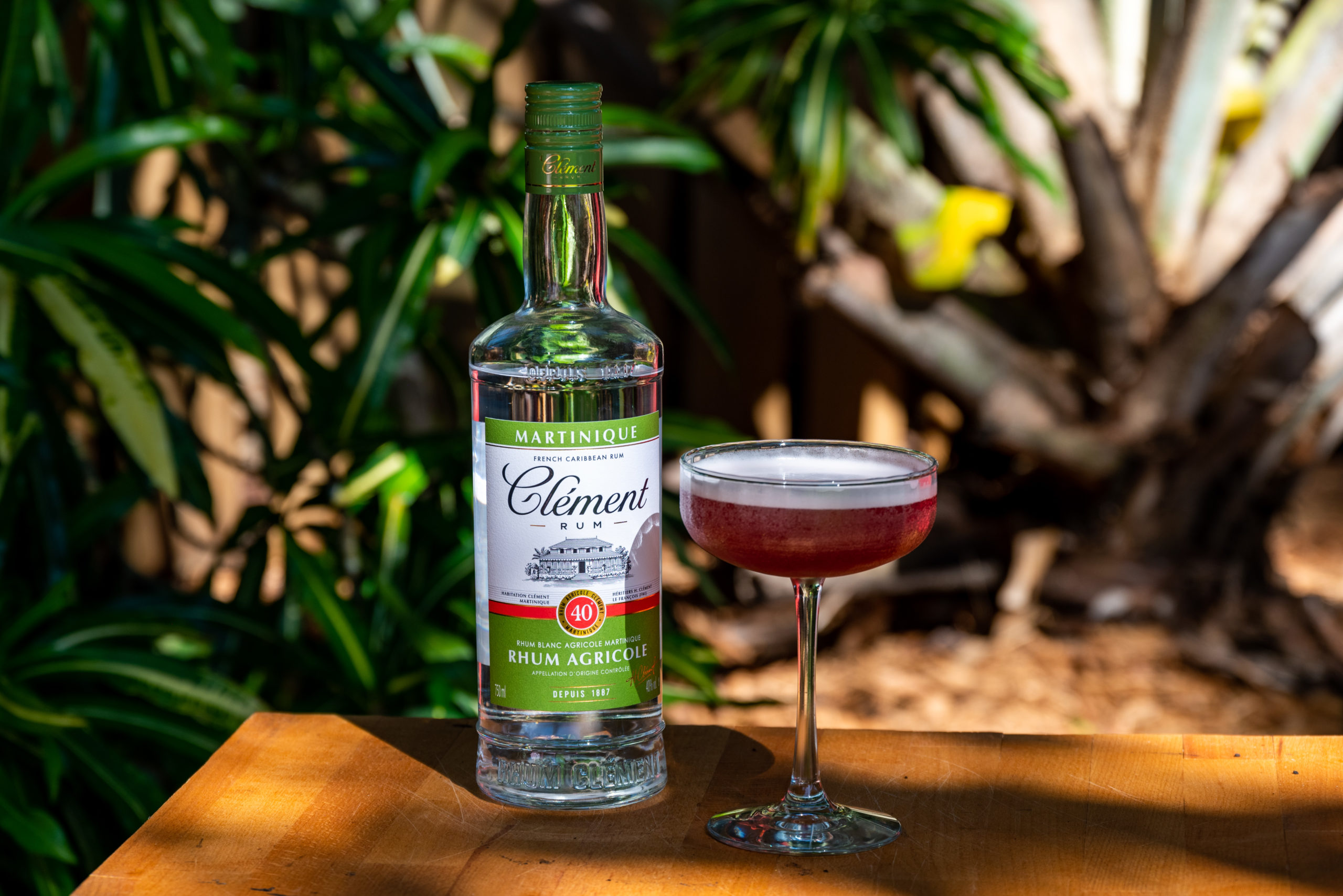 French Caribbean Martini