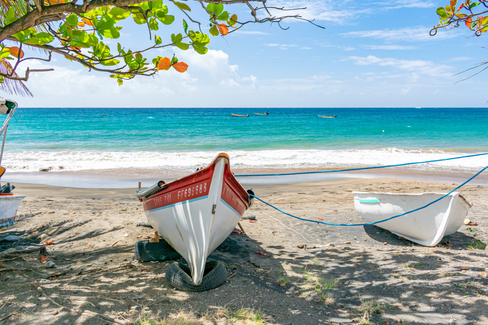 Petite-Anse Fishing Boats Resting in the Shade, Martinique