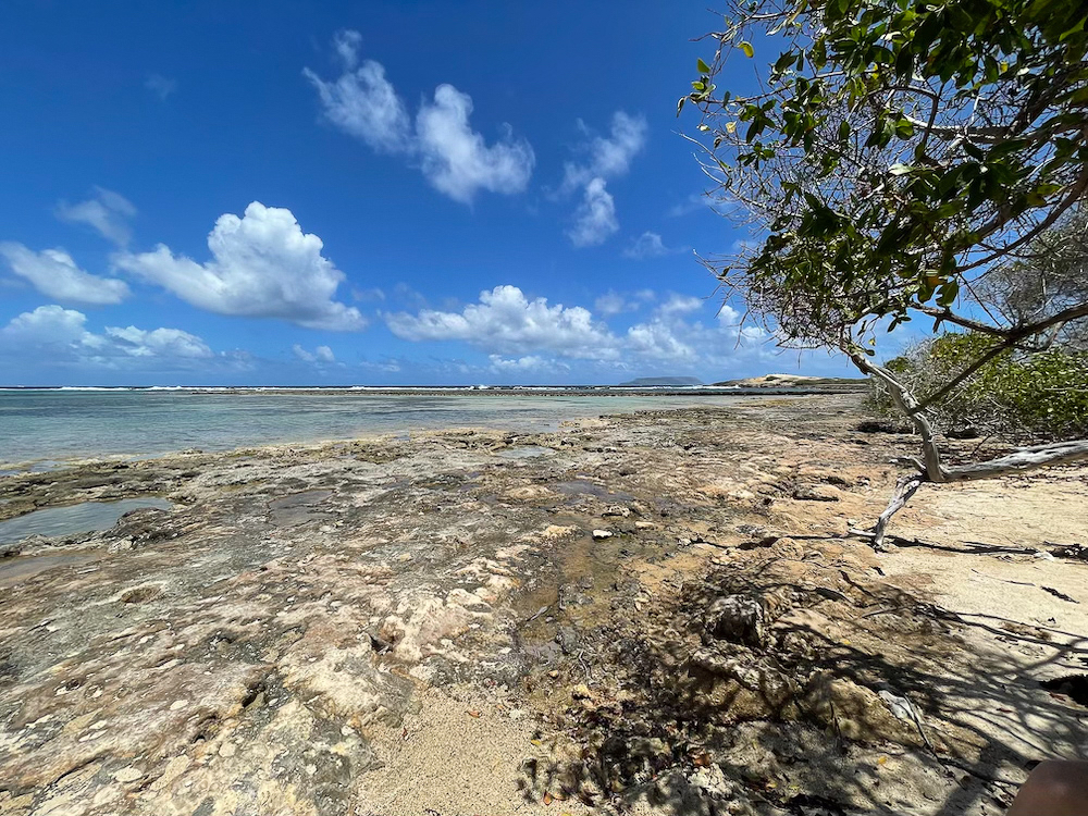 Rocky Seashore at Pointe des Chateaux, Guadeloupe