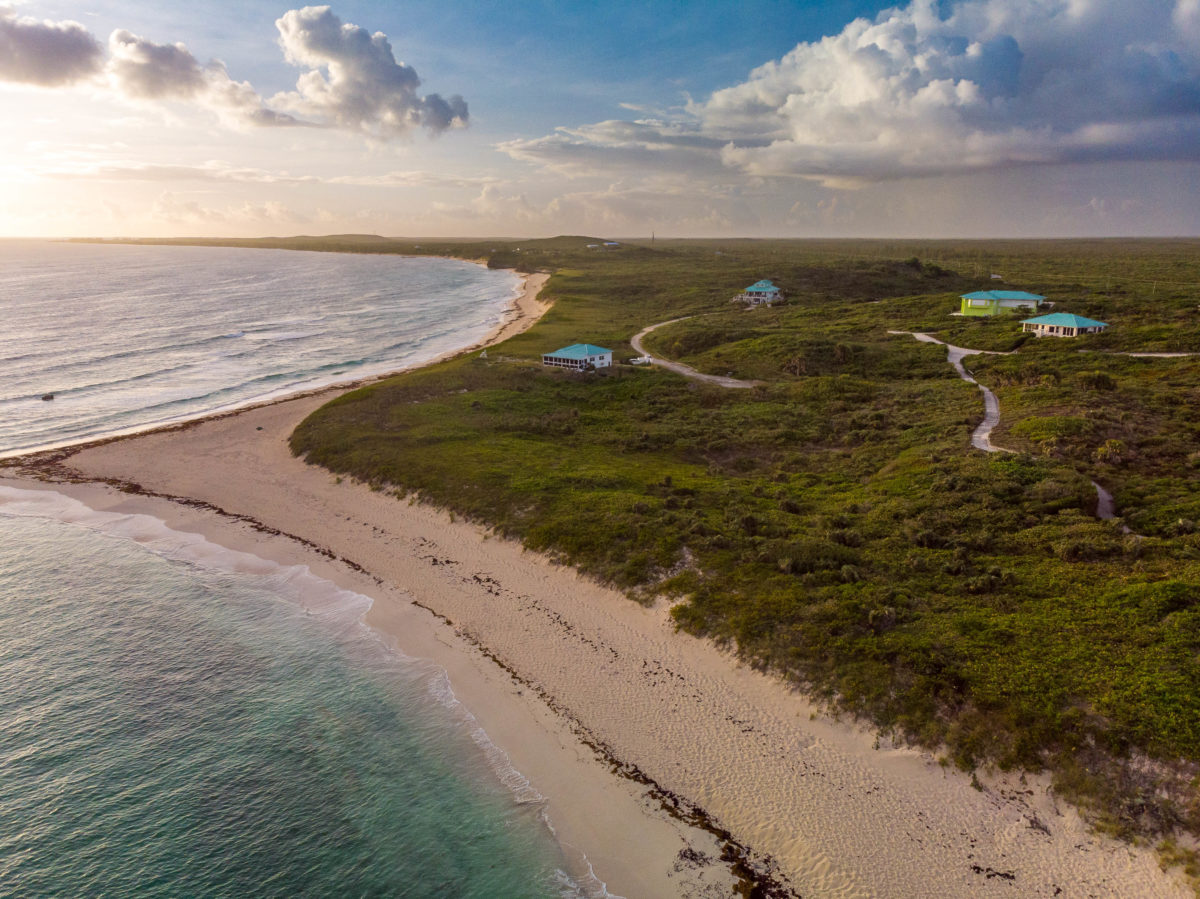 Dragon Cay wild surrounds