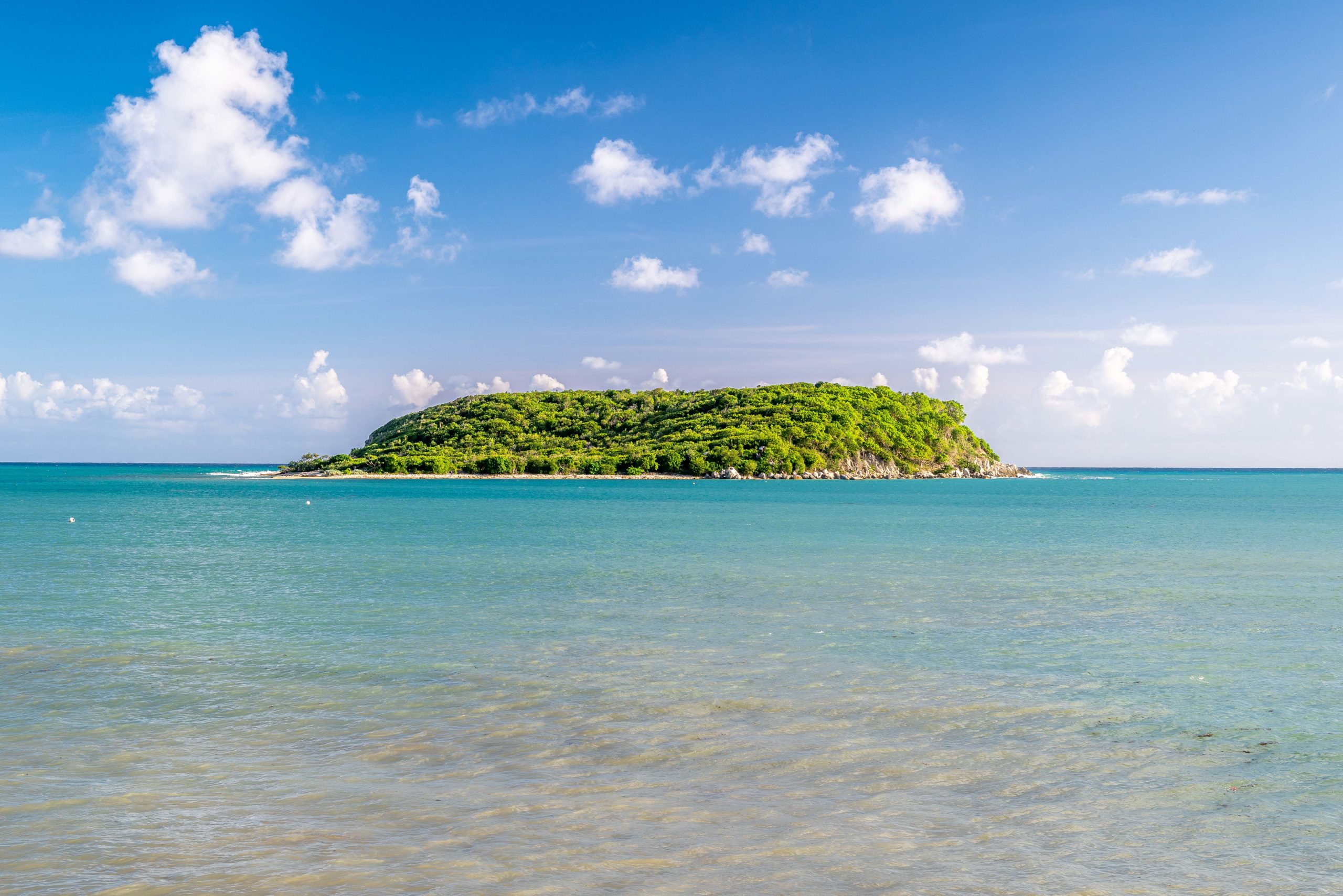 Playa Negra, Vieques: An Out of Place Black Sand Beach