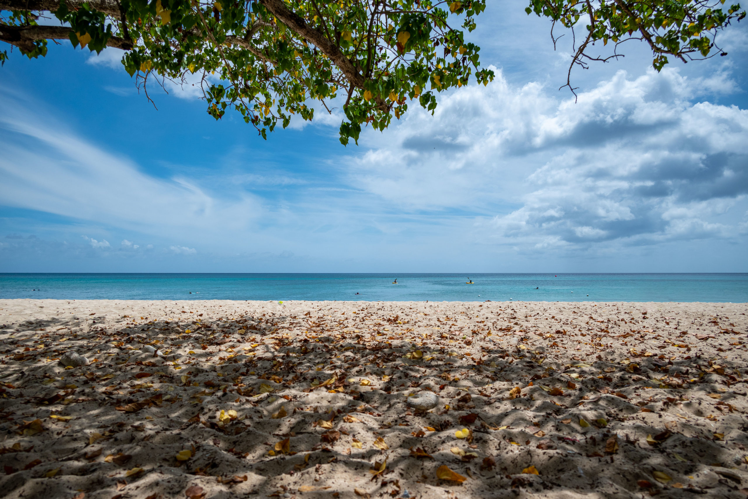 Rainbow Beach Shade