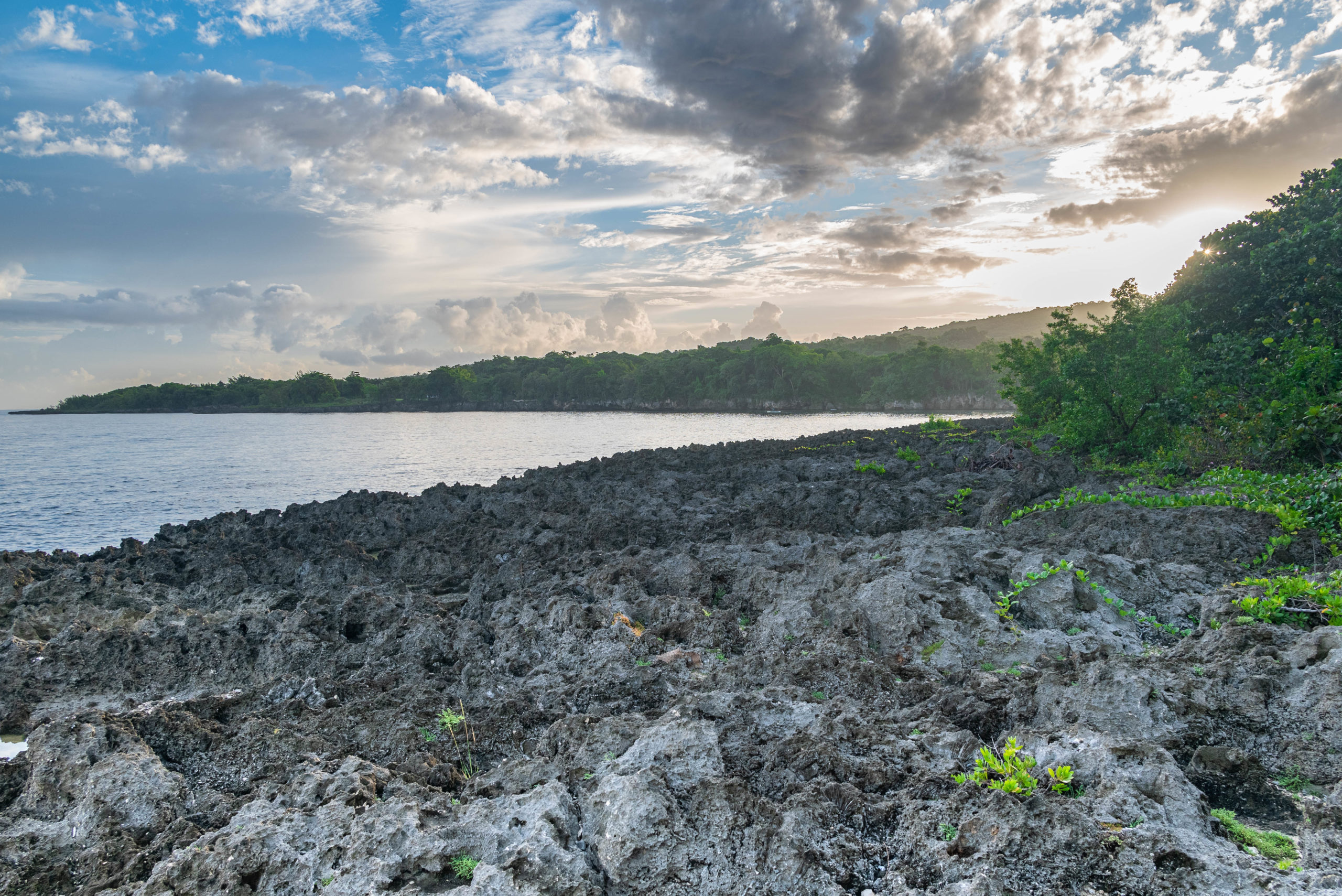 Poet Reef Sunrise