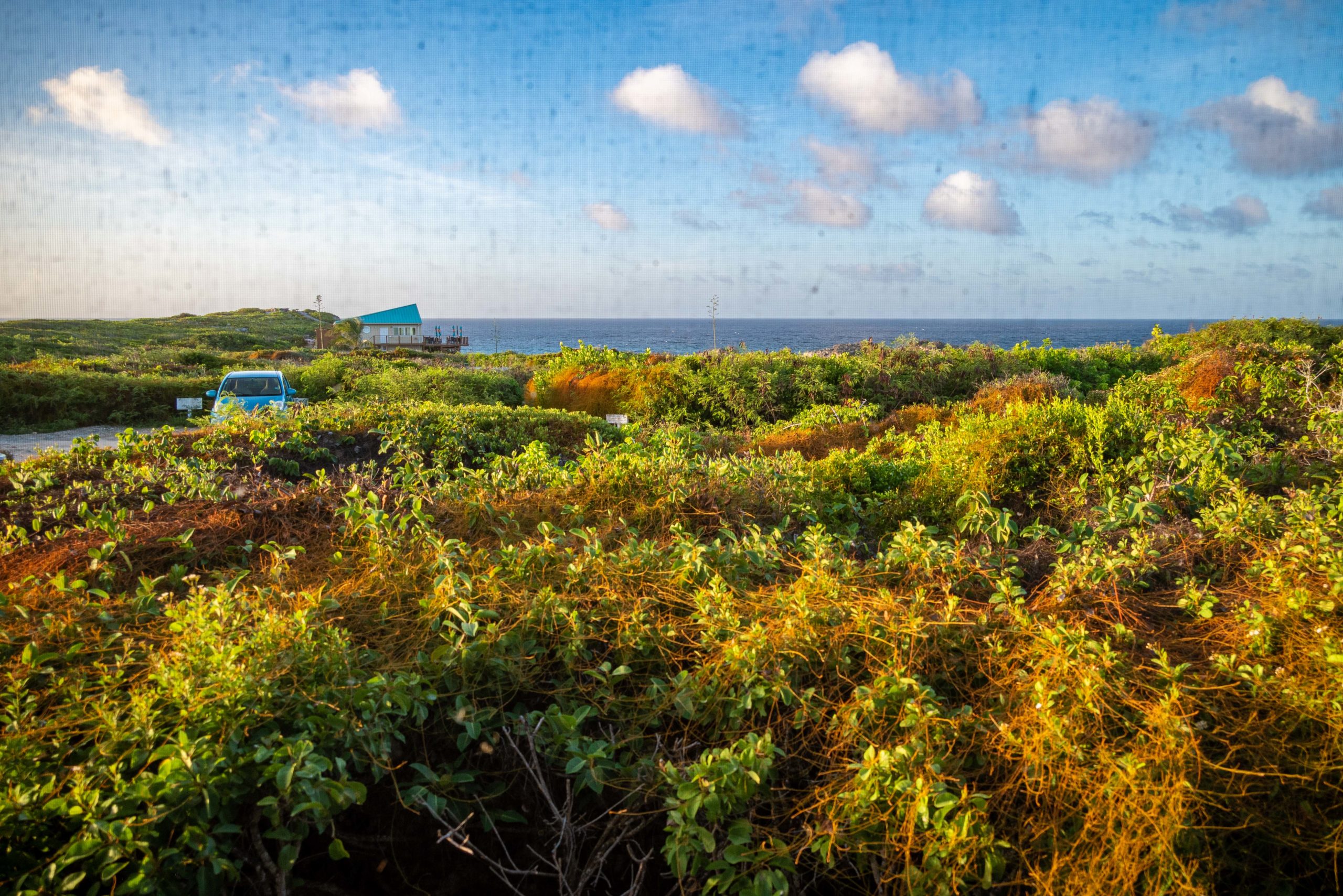 Dragonview Cottage View