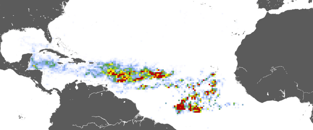 February 2023 Sargassum Map