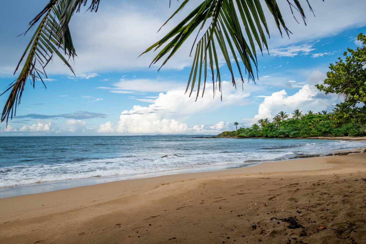 Playa El Gallito, Vieques