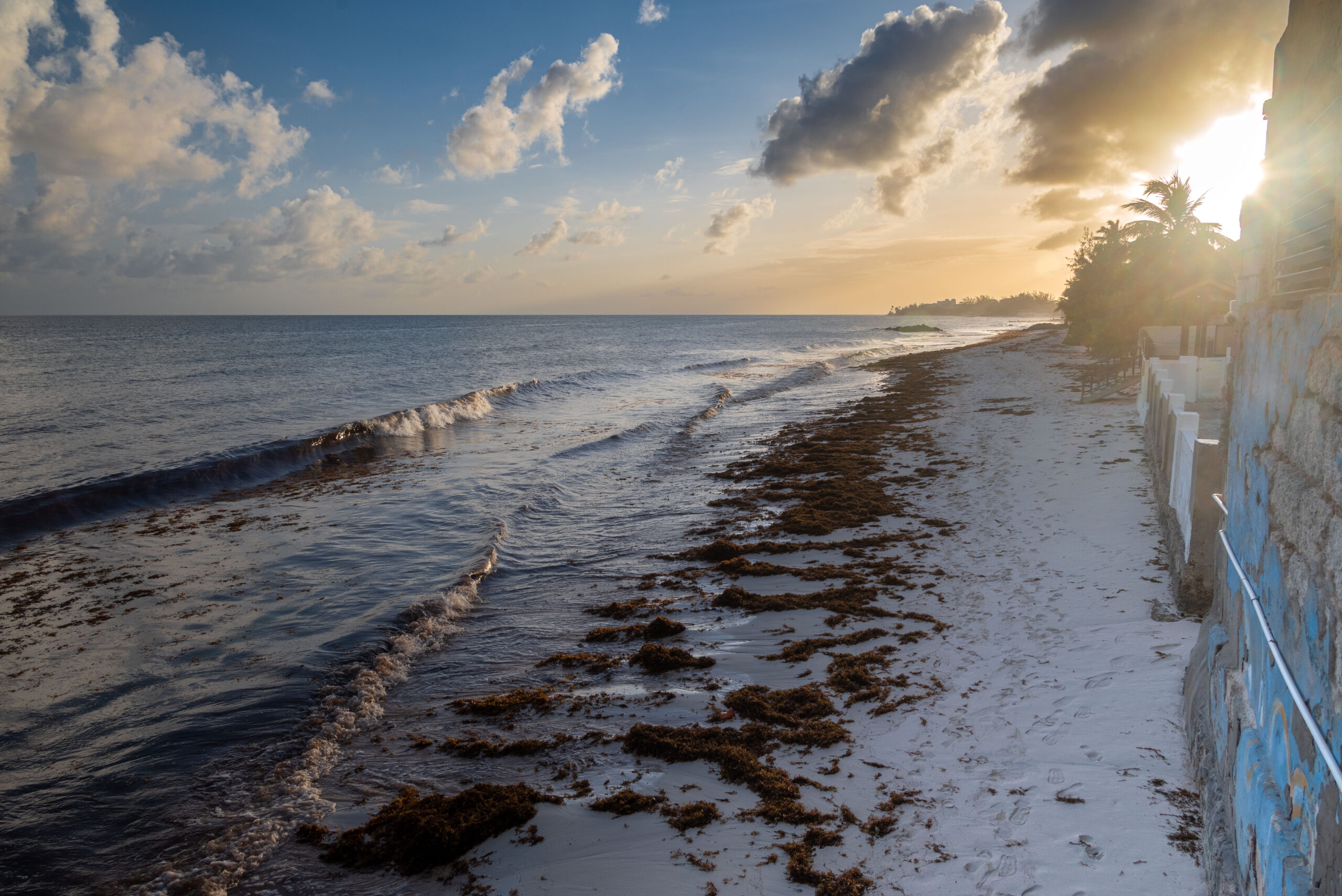 Barbados Love rekindled along Oistin Bay