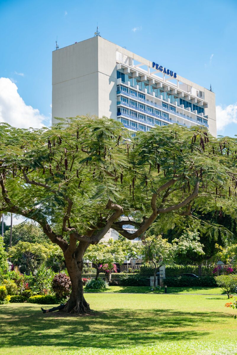 Jamaica Pegasus Rises Above Emancipation Park