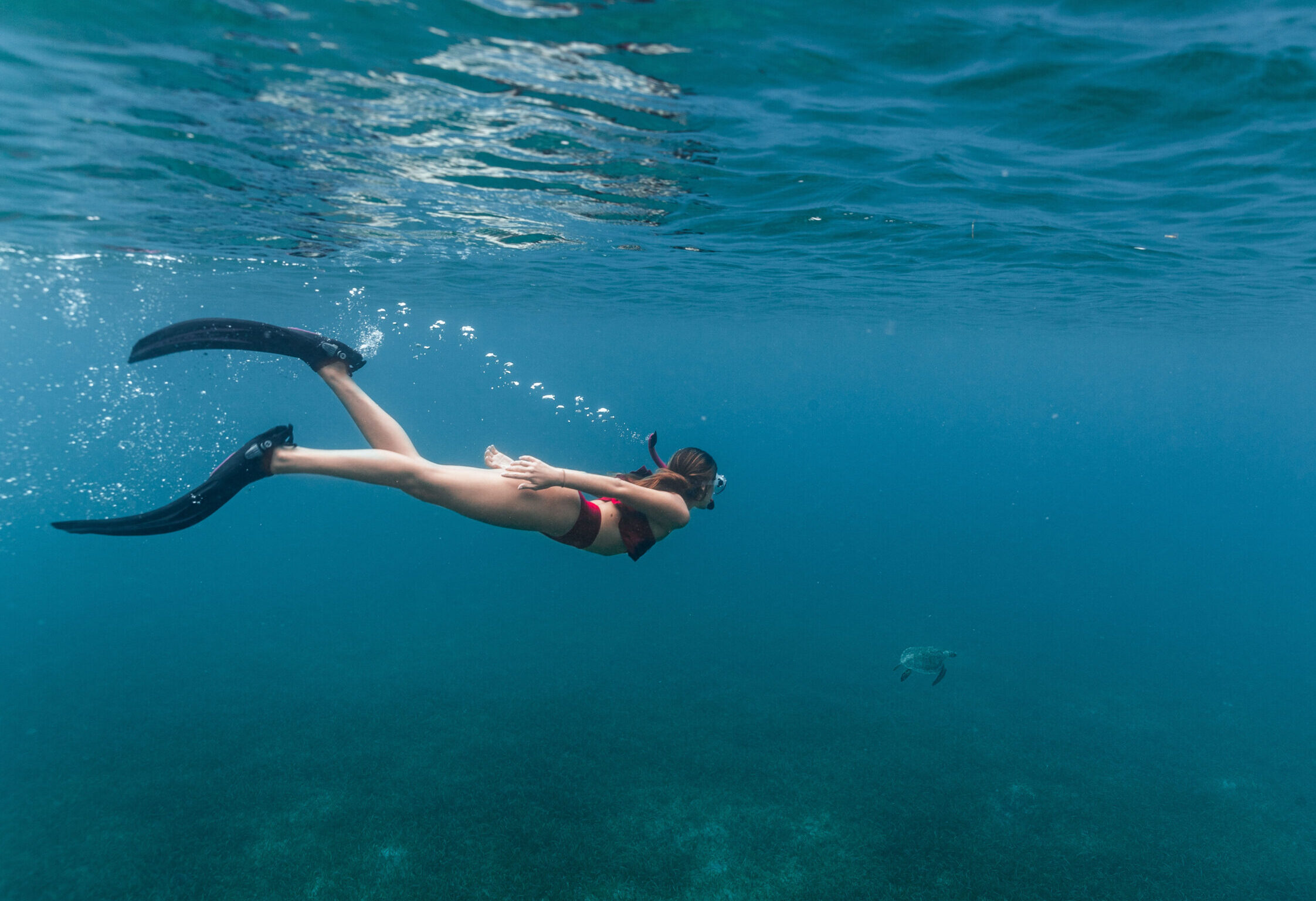 Playa Tamarindo Turtle Snorkeling