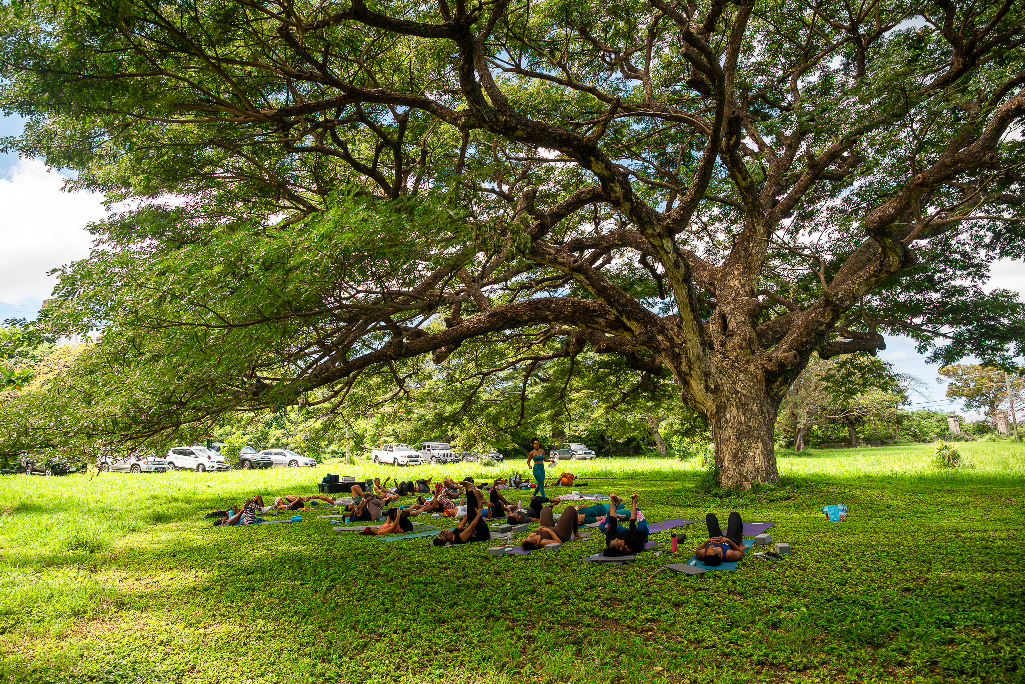 St Croix Yoga Retreats at Feather Leaf Inn