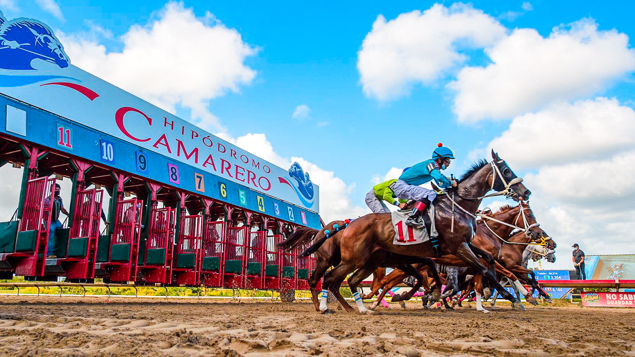 Puerto Rico Horse Racing Heaven – Hipódromo Camarero